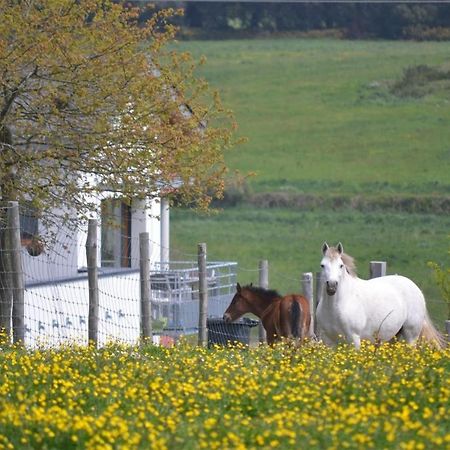 Gites & Tiny Houses Les Hauts De Toulvern Baden Luaran gambar