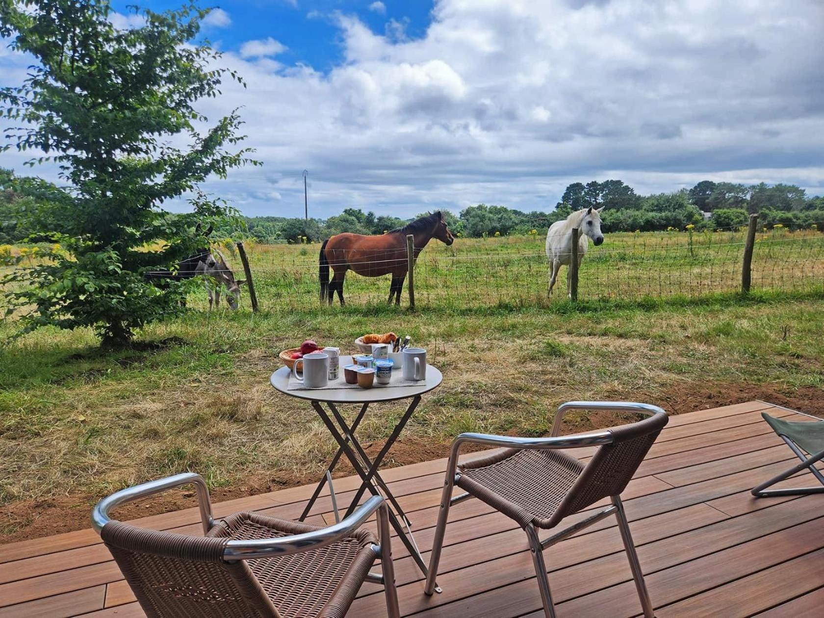 Gites & Tiny Houses Les Hauts De Toulvern Baden Bilik gambar