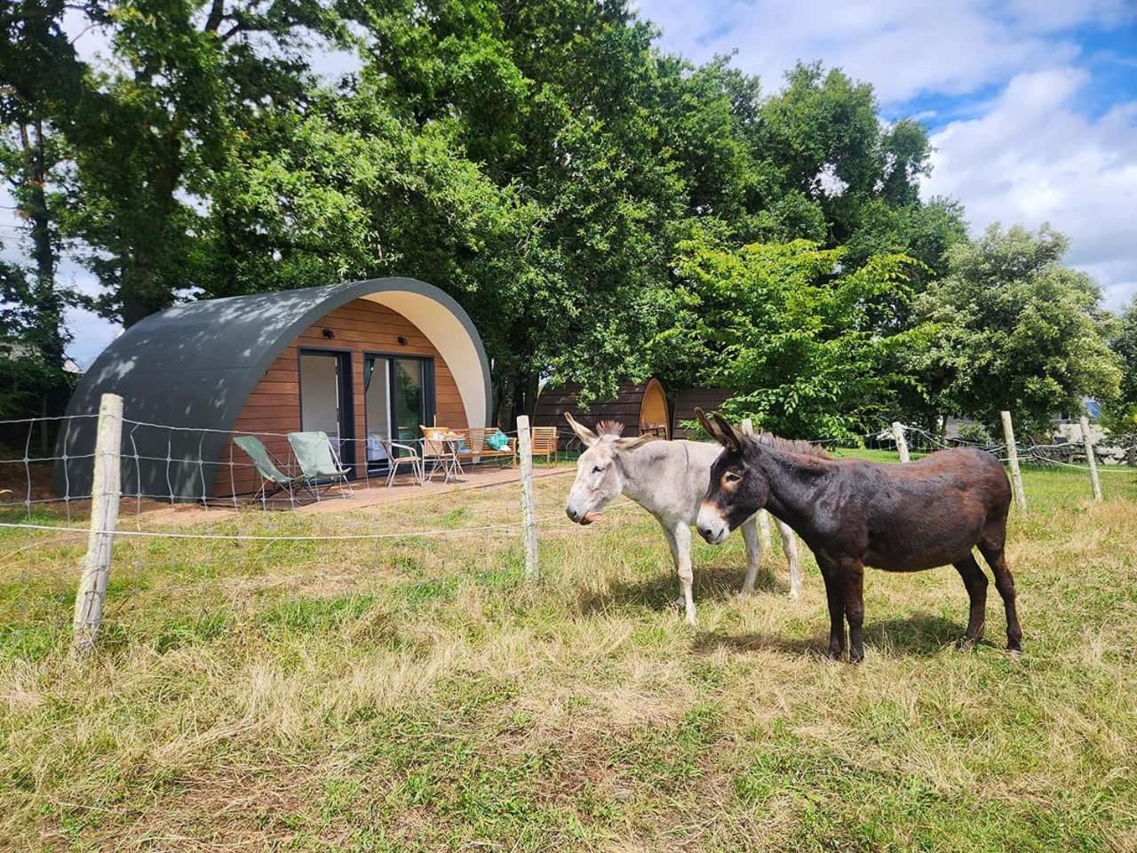Gites & Tiny Houses Les Hauts De Toulvern Baden Bilik gambar