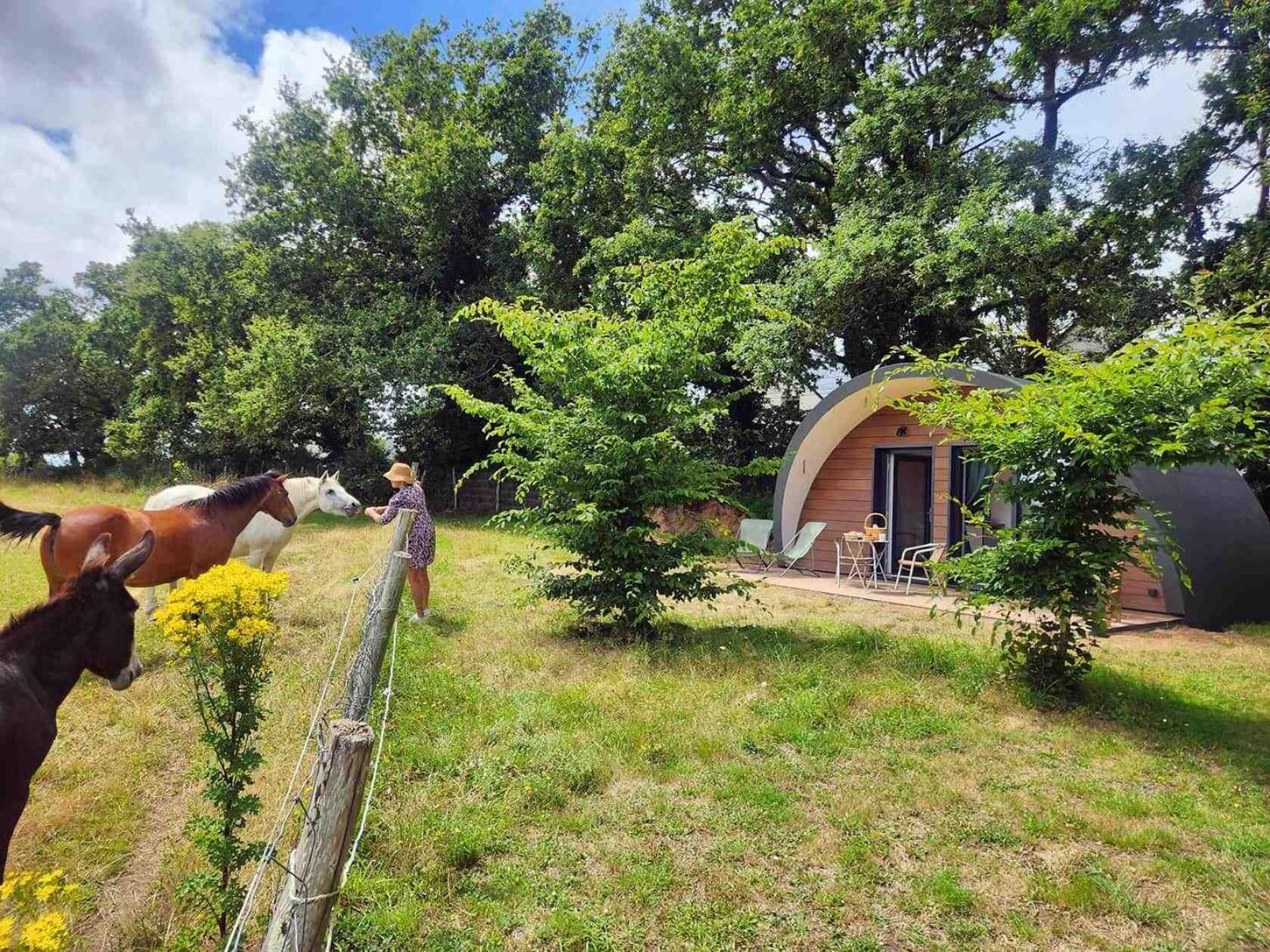 Gites & Tiny Houses Les Hauts De Toulvern Baden Bilik gambar