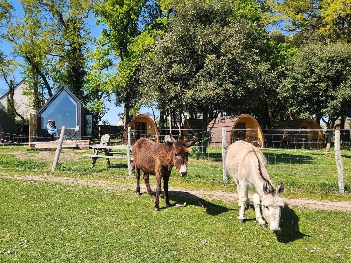 Gites & Tiny Houses Les Hauts De Toulvern Baden Bilik gambar